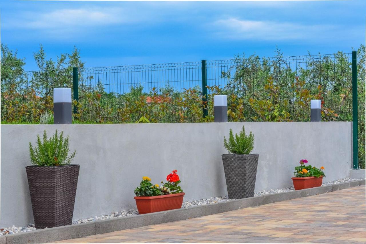 Apartment Kaplja Novigrad Istria Exteriér fotografie