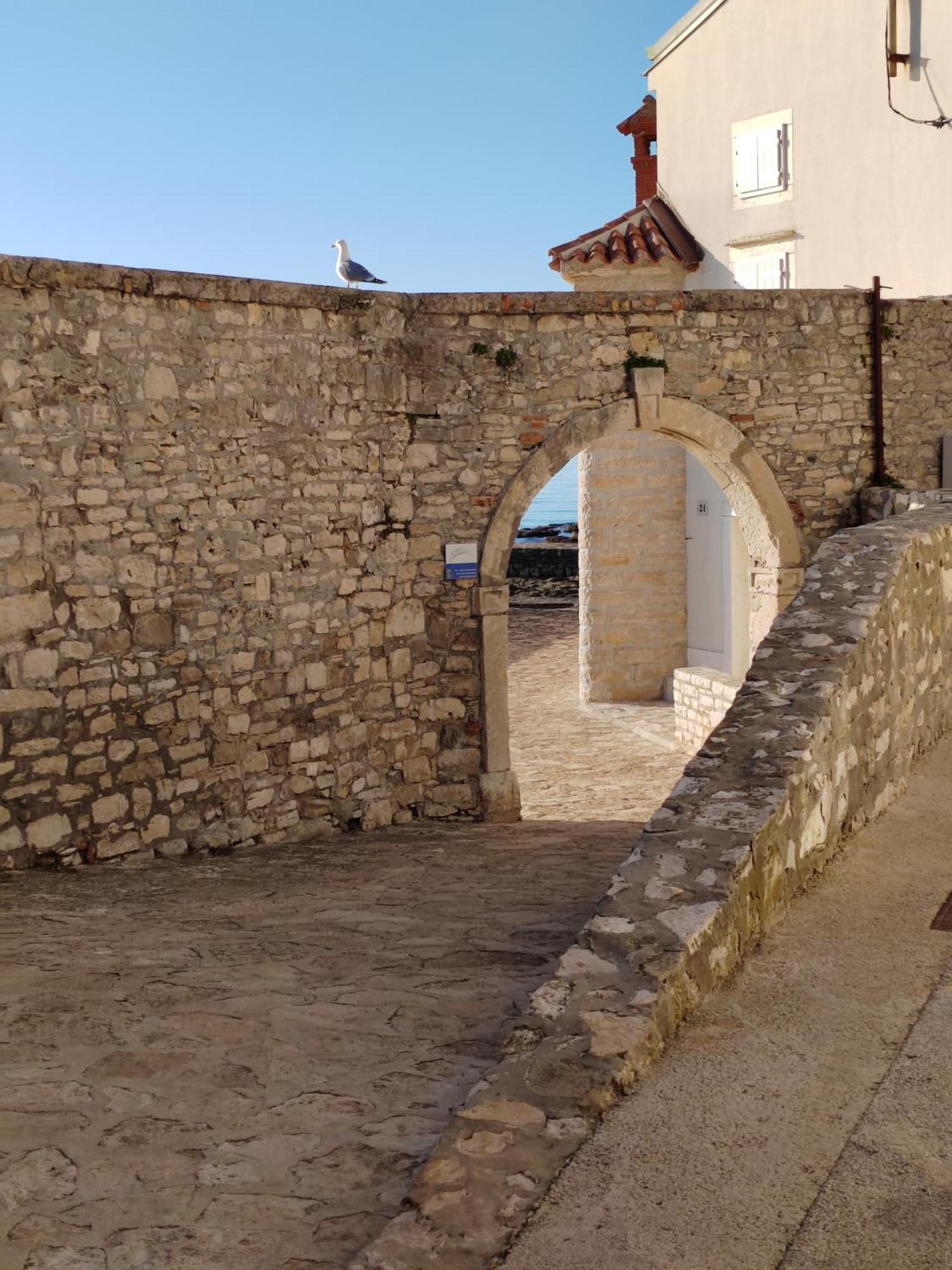 Apartment Kaplja Novigrad Istria Exteriér fotografie